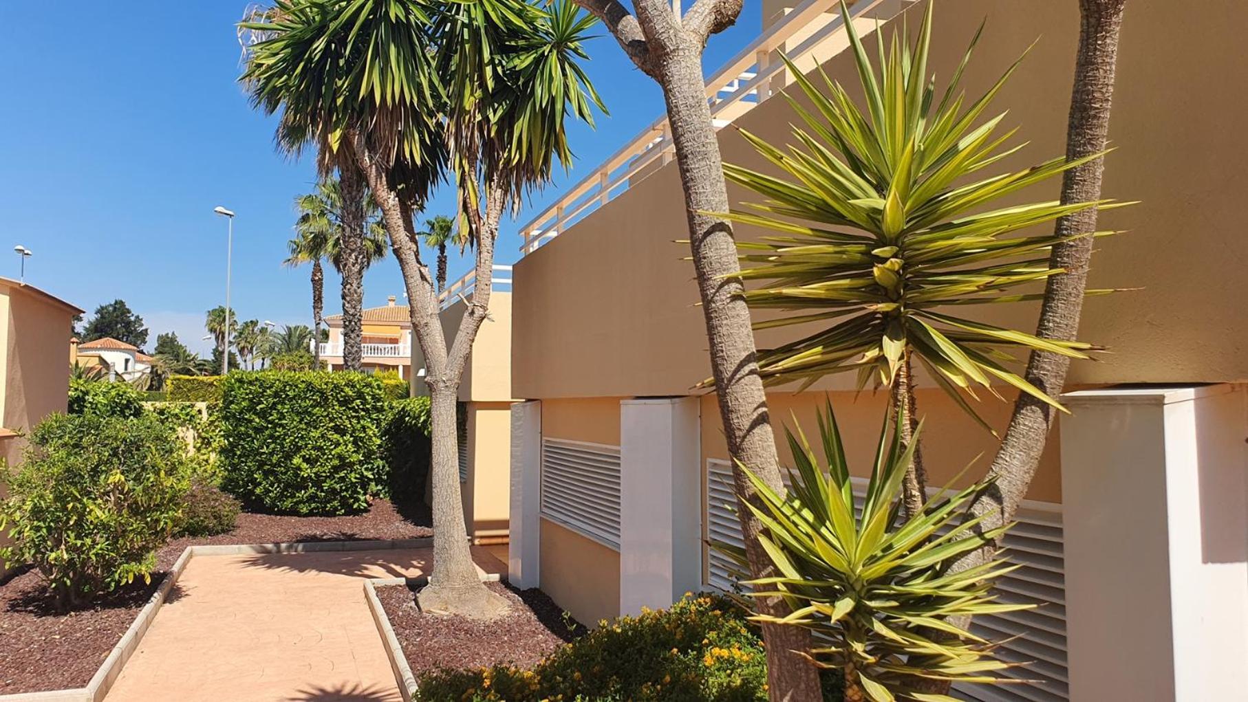 Apartamentos Par Tres - Oliva Nova Εξωτερικό φωτογραφία